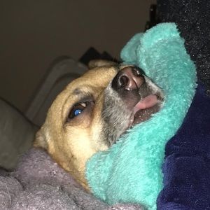 Meet your Posher, Jonah